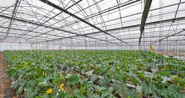 1 Mansfield Road Galston NSW 2159 - Image 1