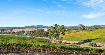 Charleston Vineyard, 160 Newman Road Charleston SA 5244 - Image 1