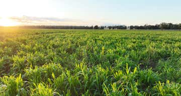 Killaloo, 214 Drillham South Road Drillham QLD 4424 - Image 1