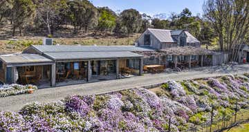 Kate's Berry Farm, 12 Addison Street Swansea TAS 7190 - Image 1