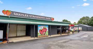 Shaylee Strawberry Farm, 255 Marks Lane Atherton QLD 4883 - Image 1