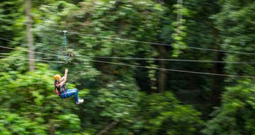 Cape Tribulation QLD 4873 - Image 1