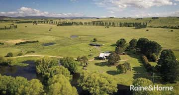 214-248 Little River Road Braidwood NSW 2622 - Image 1