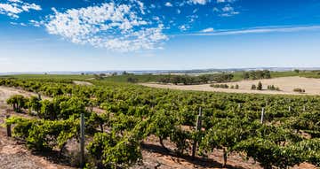 Schobers Vineyard Tank and Main North Roads Leasingham SA 5452 - Image 1