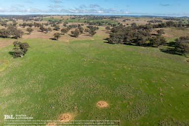 WEST BRINGALONG, 4572 Renshaw McGirr Way Yeoval NSW 2868 - Image 4