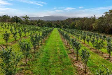 83/Lot 83 Chester Road Wondecla QLD 4887 - Image 2