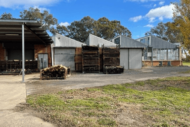 24 Frost Street Euroa VIC 3666 - Image 4