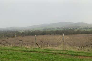 Nowhere Creeek Vineyard, 0 Pyrenees Highway Elmhurst VIC 3469 - Image 3