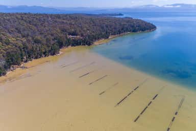 Blue Heron Oyster Farm, 59/00 Sharps Road South Bruny TAS 7150 - Image 3