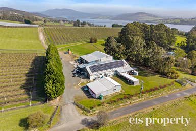 Platinum Ridge Cherries, 627 Silver Hill Road Lower Wattle Grove TAS 7109 - Image 3