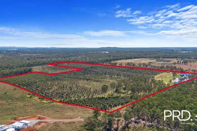 164 Old Bruce Highway Owanyilla QLD 4650 - Image 3