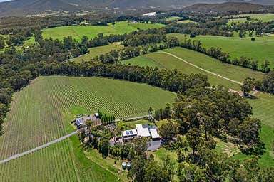 Lone Star Creek Vineyard, 165 Owens Road Woori Yallock VIC 3139 - Image 2