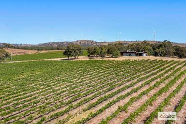 Shay's Flat, Landsborough & Malakoff Wine Estates, 482 Shays Flat - Malakoff Road Landsborough VIC 3384 - Image 4