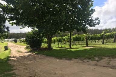 Hidden Creek Winery, 2271 Eukey Road Ballandean QLD 4382 - Image 3