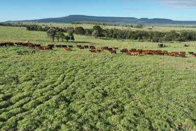 Ranchlands, 1477 Womblebank Gap Road Injune QLD 4454 - Image 2