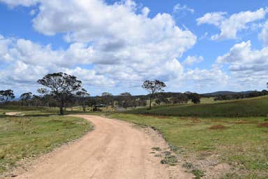 1367 Marked Tree Road Gundaroo NSW 2620 - Image 3