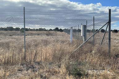 Lot 60 Big Olive Grove Tailem Bend SA 5260 - Image 3