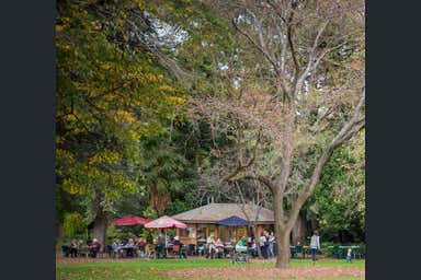 Teahouse Cafe - Geelong Botanic Gardens, 200 Eastern Park Circuit Geelong VIC 3220 - Image 3