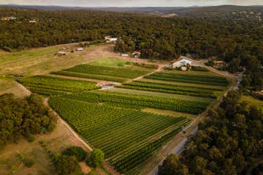 Raeburn Orchard, 4-10 Raeburn Road Roleystone WA 6111 - Image 3