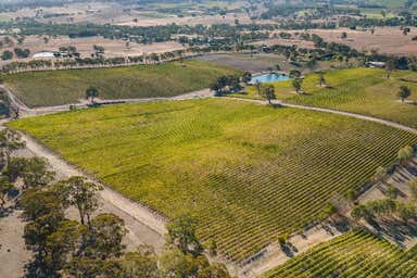 Charleston Vineyard, 160 Newman Road Charleston SA 5244 - Image 2