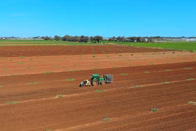 Lot 3000 Robert Road Virginia SA 5120 - Image 3