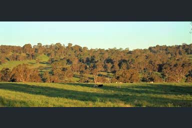 'Glendon Park' Tullock Road Armidale NSW 2350 - Image 4