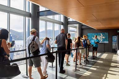 24 The Cove Road Airlie Beach QLD 4802 - Image 3