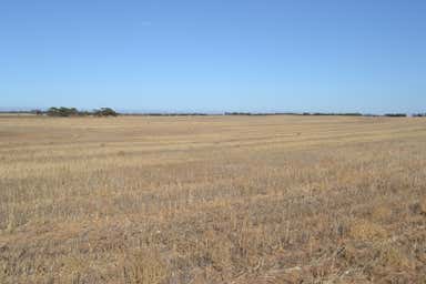Lot 10 Simpson Rd Kyancutta SA 5651 - Image 3
