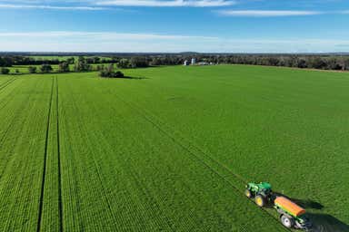 Wilgaroi, 207 Wilgaroi Road Bellata NSW 2397 - Image 3