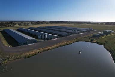 Somerset Poultry, 124 Windermere Road Murgheboluc VIC 3218 - Image 4