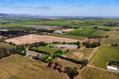 Fox Creek Wines, 90 Malpas Road McLaren Vale SA 5171 - Image 4