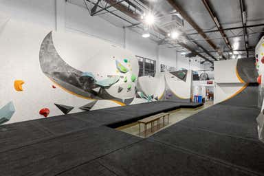 5 Morse Street Newstead QLD 4006 - Image 4