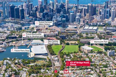 43-47 Bridge Road Glebe NSW 2037 - Image 3