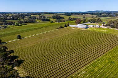 Sylvan Springs Estate, 40  Blythmans Road Blewitt Springs SA 5171 - Image 3