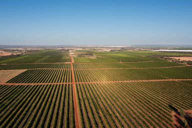 Nericon NSW 2680 - Image 4