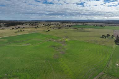 Palgrove, 555 Palgrave Road Dalveen QLD 4374 - Image 3