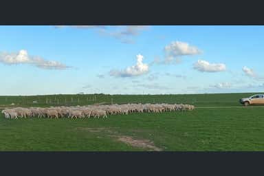 282 Leibich Road Wudinna SA 5652 - Image 3