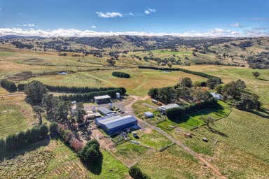 Premium Southern Tablelands Grazing Opportunity - Image 3