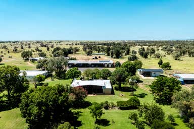 Taylors Plains, 10077 Hoganthulla Road Mungallala QLD 4467 - Image 3