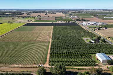 Orrvale VIC 3631 - Image 4