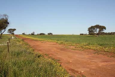 Speyside Estate, 263 Speyside Road Mullewa WA 6630 - Image 4