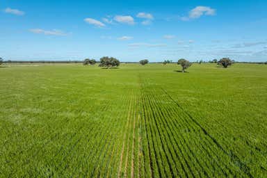 Bookit Island Station, 265 Bookit Island Lane Barham NSW 2732 - Image 3