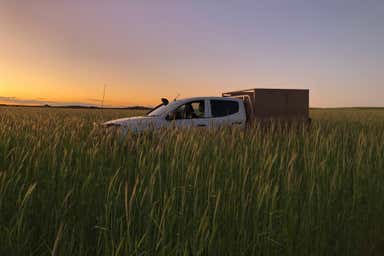 282 Leibich Road Wudinna SA 5652 - Image 4