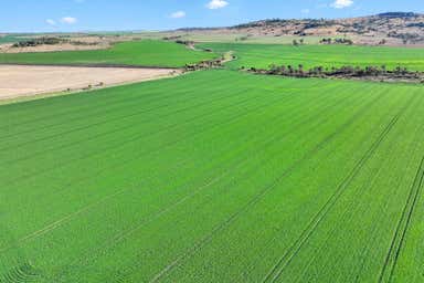 Warialda NSW 2402 - Image 4