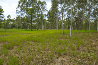 Lot 904 Kirkwood Road New Auckland QLD 4680 - Image 3