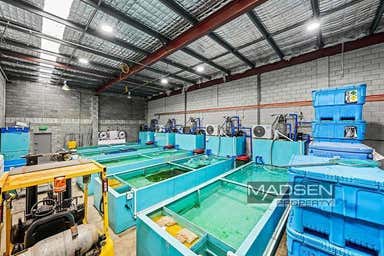 4/29 Collinsvale Street Rocklea QLD 4106 - Image 3