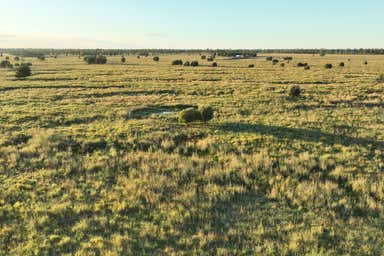 Killaloo, 214 Drillham South Road Drillham QLD 4424 - Image 3