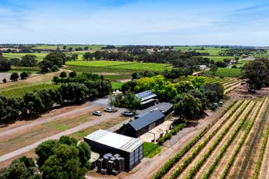 Fox Creek Wines, 90 Malpas Road McLaren Vale SA 5171 - Image 3