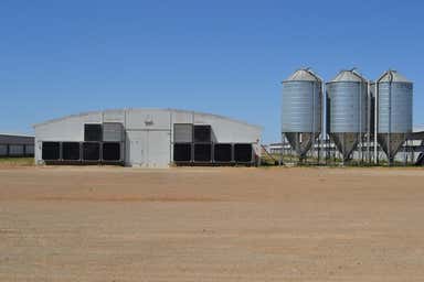 432 Wheat Road Beaufort SA 5550 - Image 3