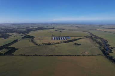 Somerset Poultry, 124 Windermere Road Murgheboluc VIC 3218 - Image 3